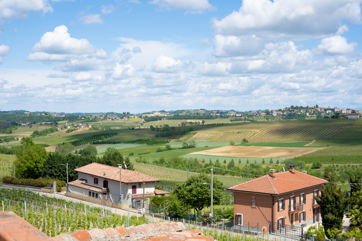 Agriturismo da Elvira - Cucina Tipica - Camere - Vino