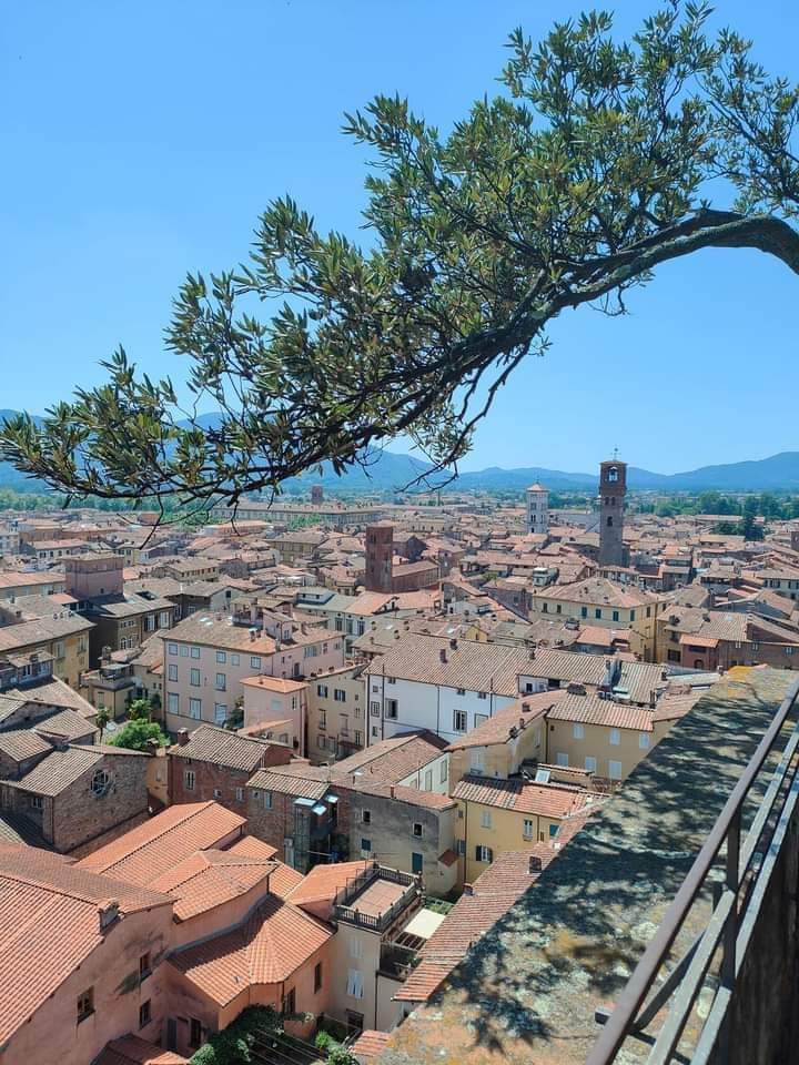 Lucca Charm B&B — Alloggio a Lucca, Lucca