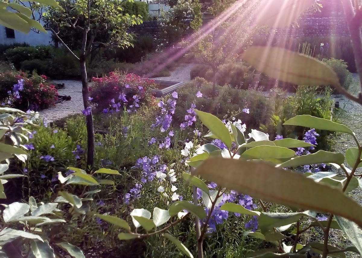 Il Giardino del Chiostro — Alloggio a Cividale del Friuli, Udine