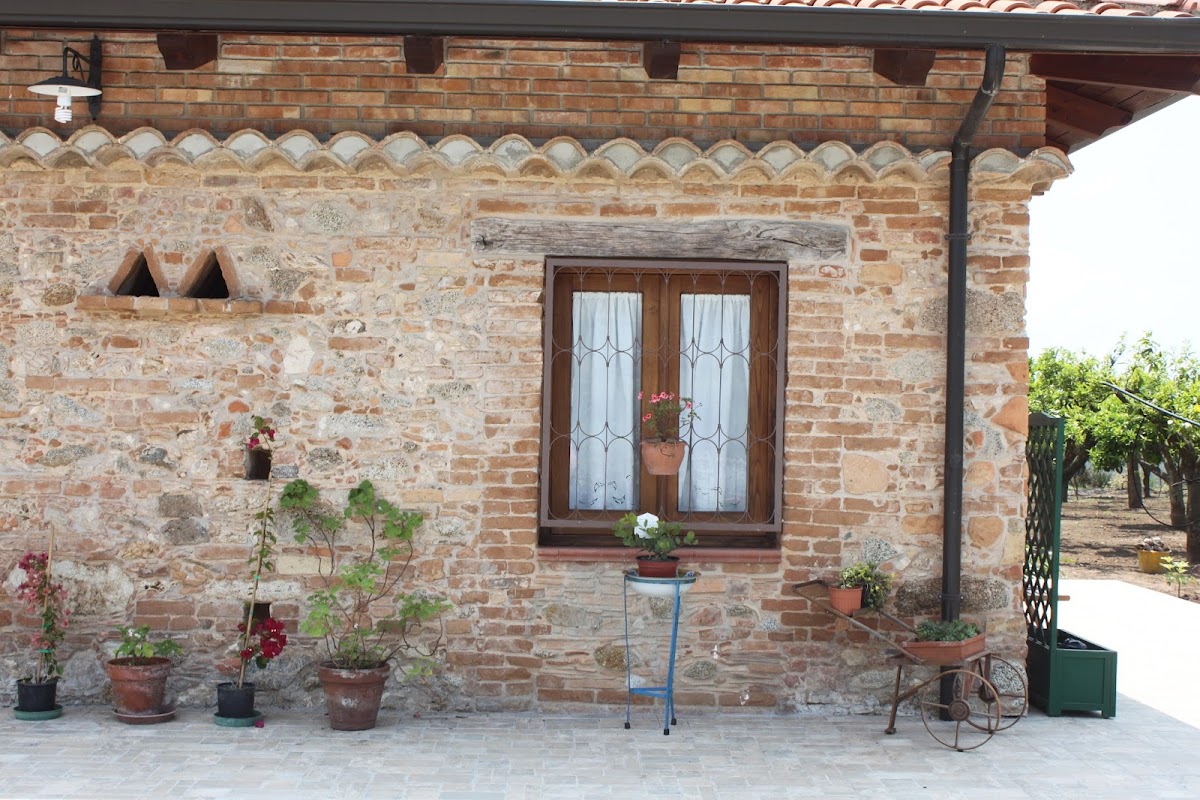 Le terre di zoè - Agriturismo e Azienda Agricola Biologica — Alloggio a Tropea, Vibo Valentia