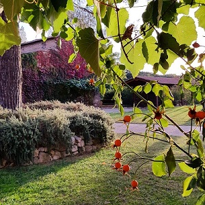 Agriturismo Pian del Tevere — Punto di interesse a Perugia, Perugia