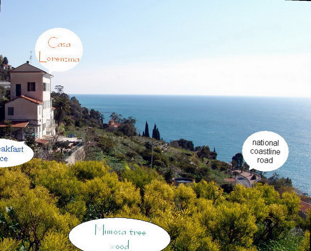 Romantic Casa Lorenzina Affittacamere — Alloggio a Dolceacqua, Imperia