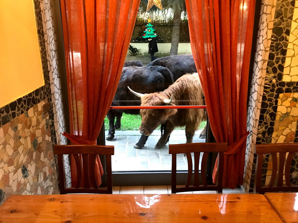 Agriturismo Ranza — Alloggio a Milano, Milano