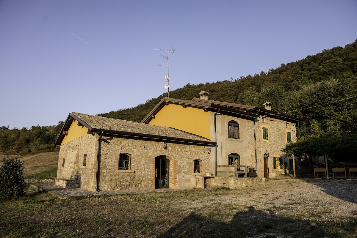 Fattoria Branciana