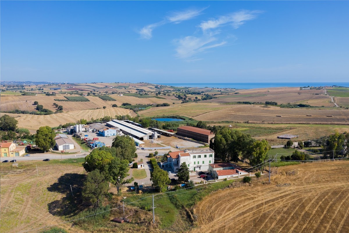 Azienda Agricola - Fattoria Di Vaira — Alloggio a Termoli, Campobasso