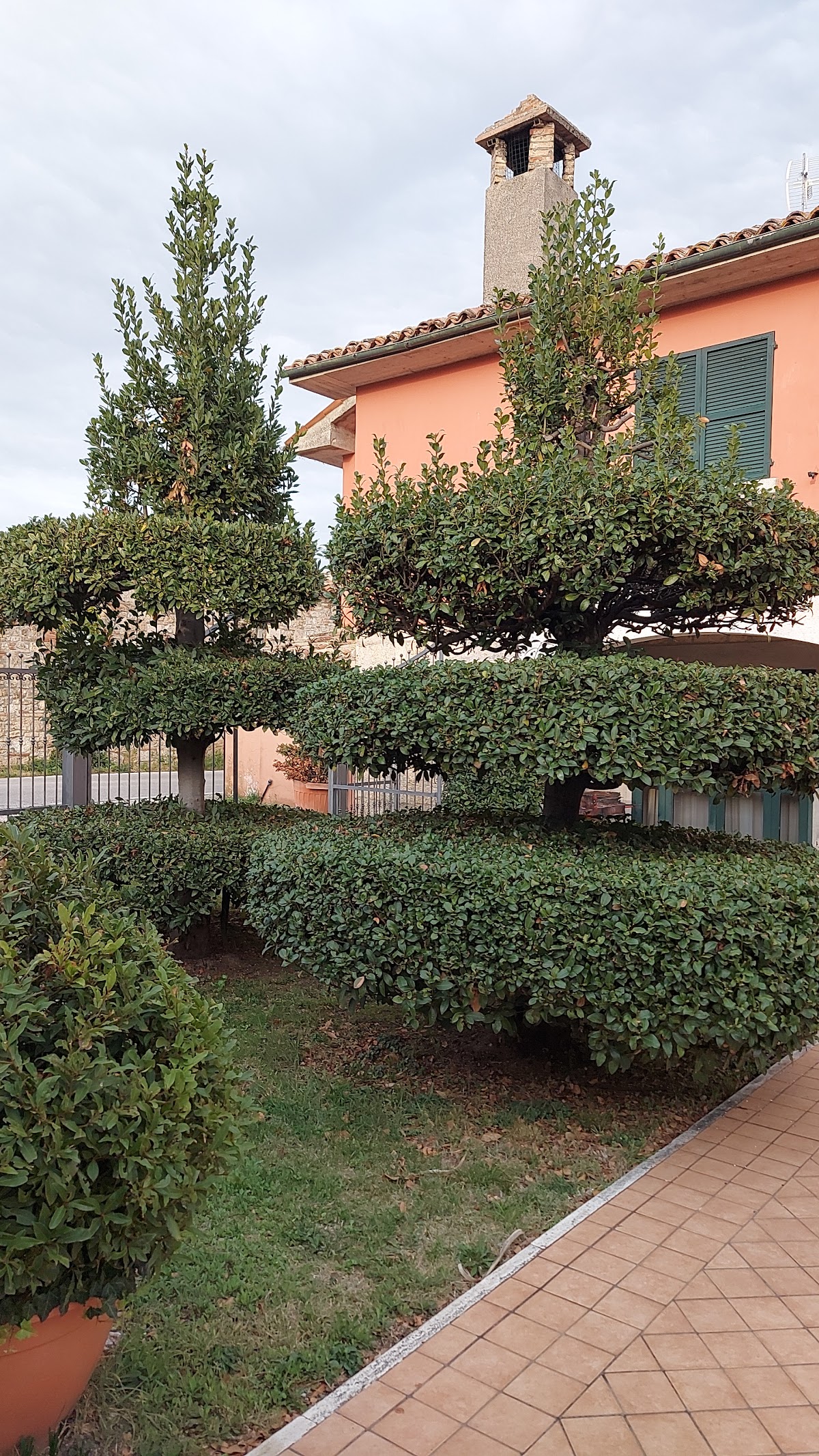Il Casale Degli Ulivi B&B — Alloggio a Ascoli Piceno, Ascoli Piceno