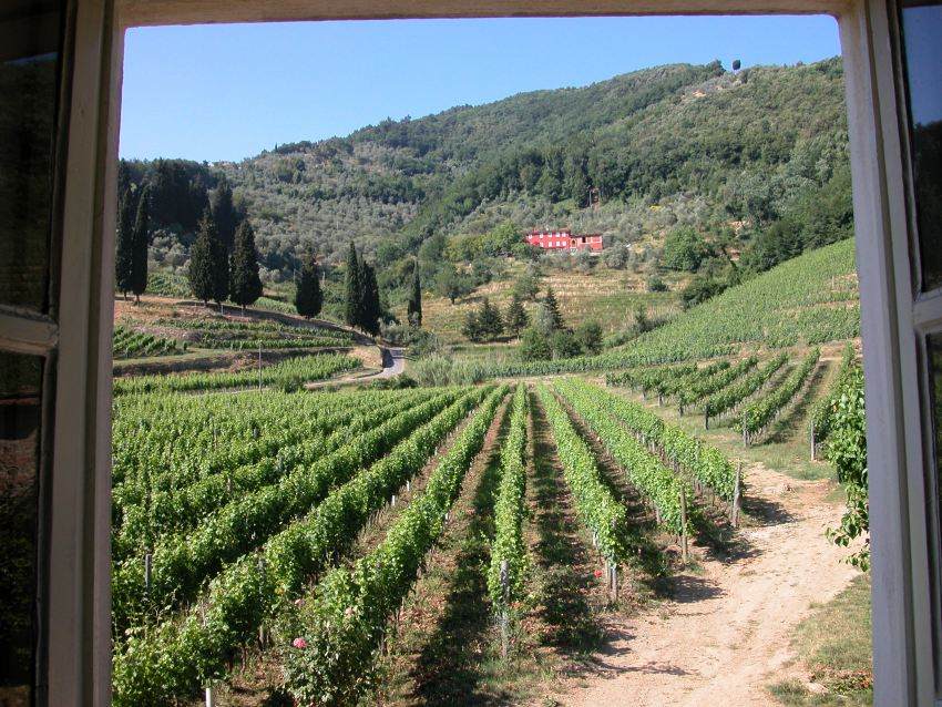 Agriturismo Le Murelle — Alloggio a Lucca, Lucca