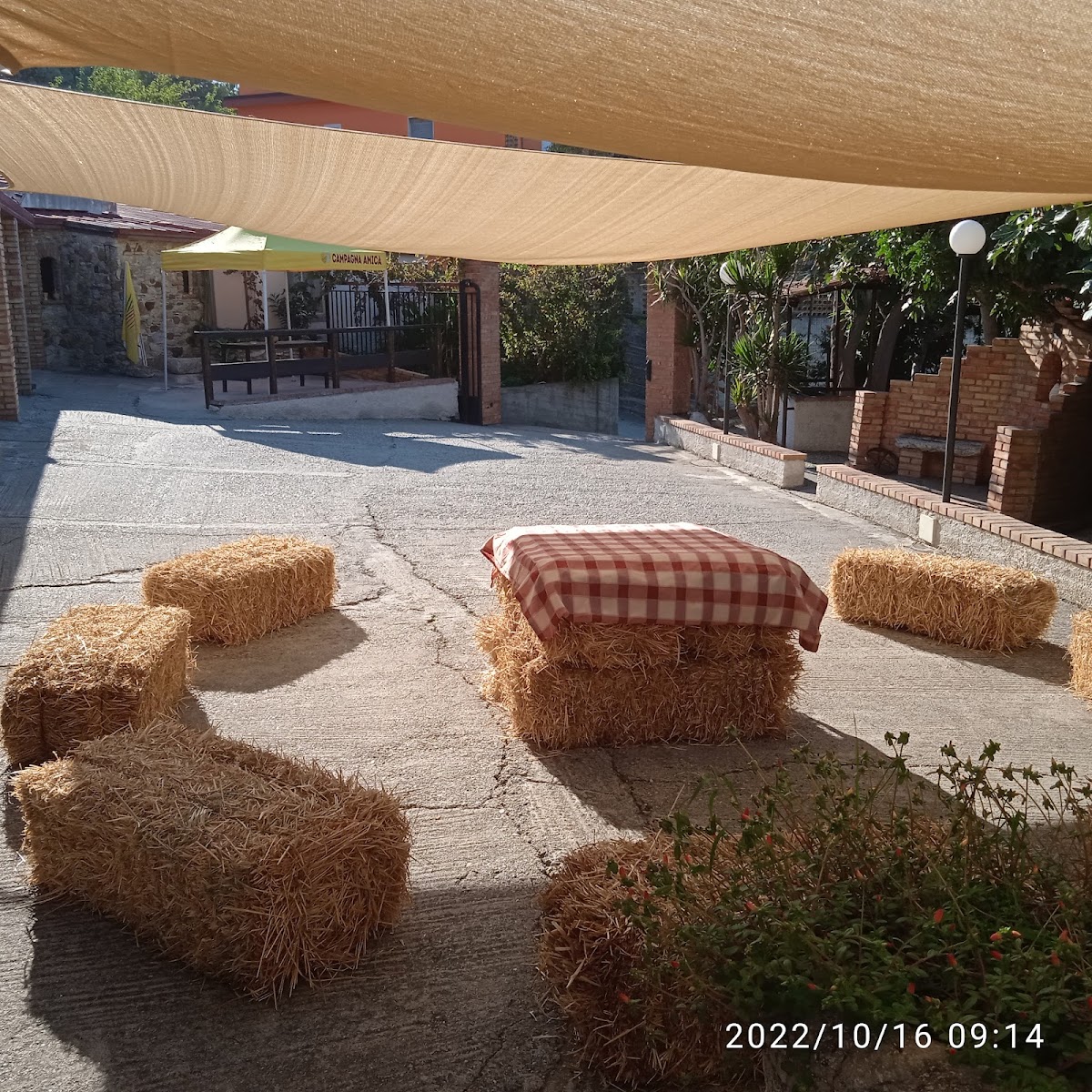 Azienda Agricola AgriRiggio Salumificio, Agriturismo, Macelleria-Punto vendita aziendale Campagna Amica Slow Food — Alloggio a Reggio Calabria, Reggio Calabria