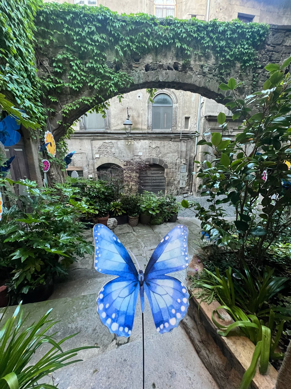 Papale Papale B&B