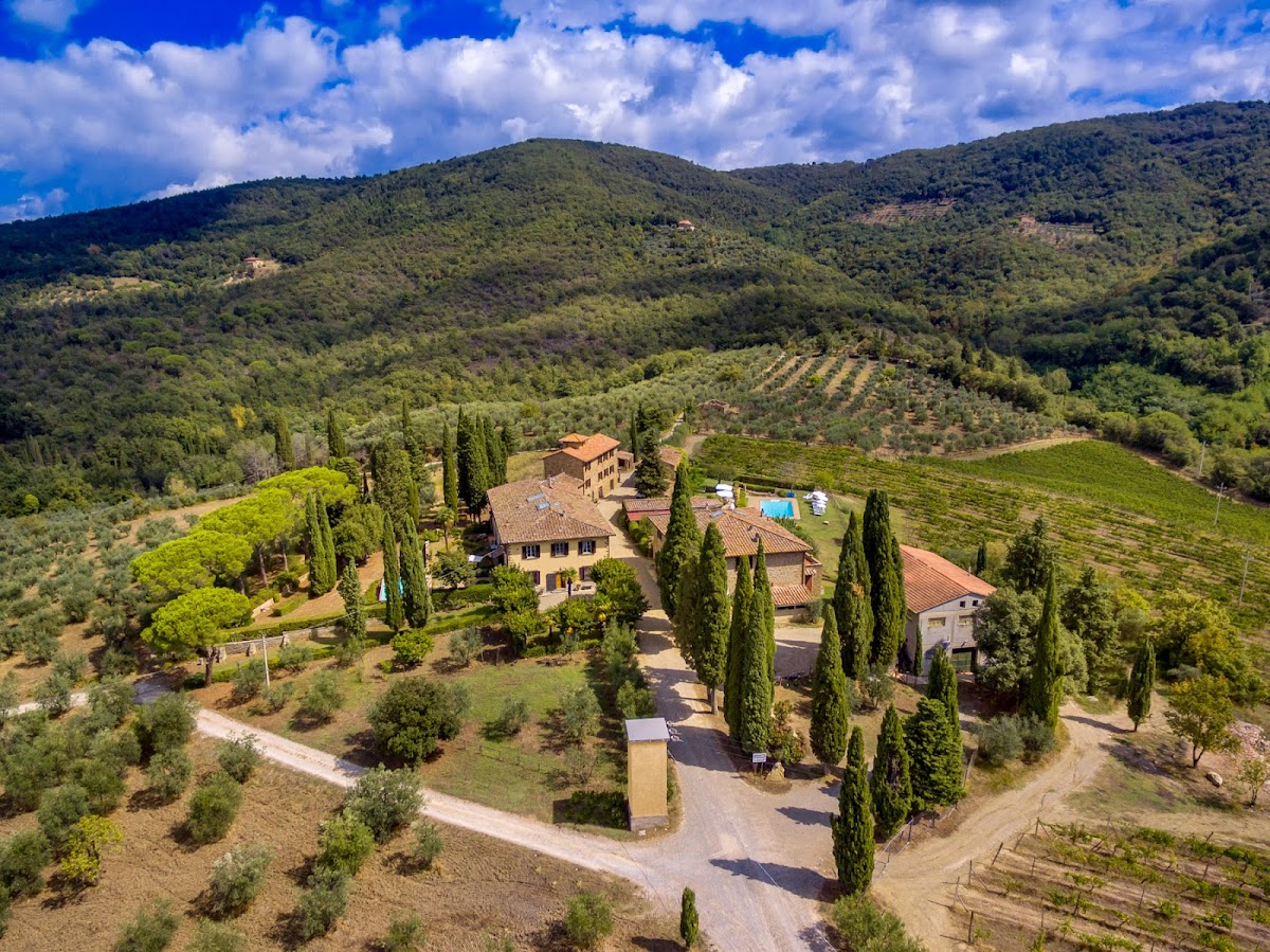 Agriturismo Fattoria Santo Stefano — Alloggio a Greve in Chianti, Firenze