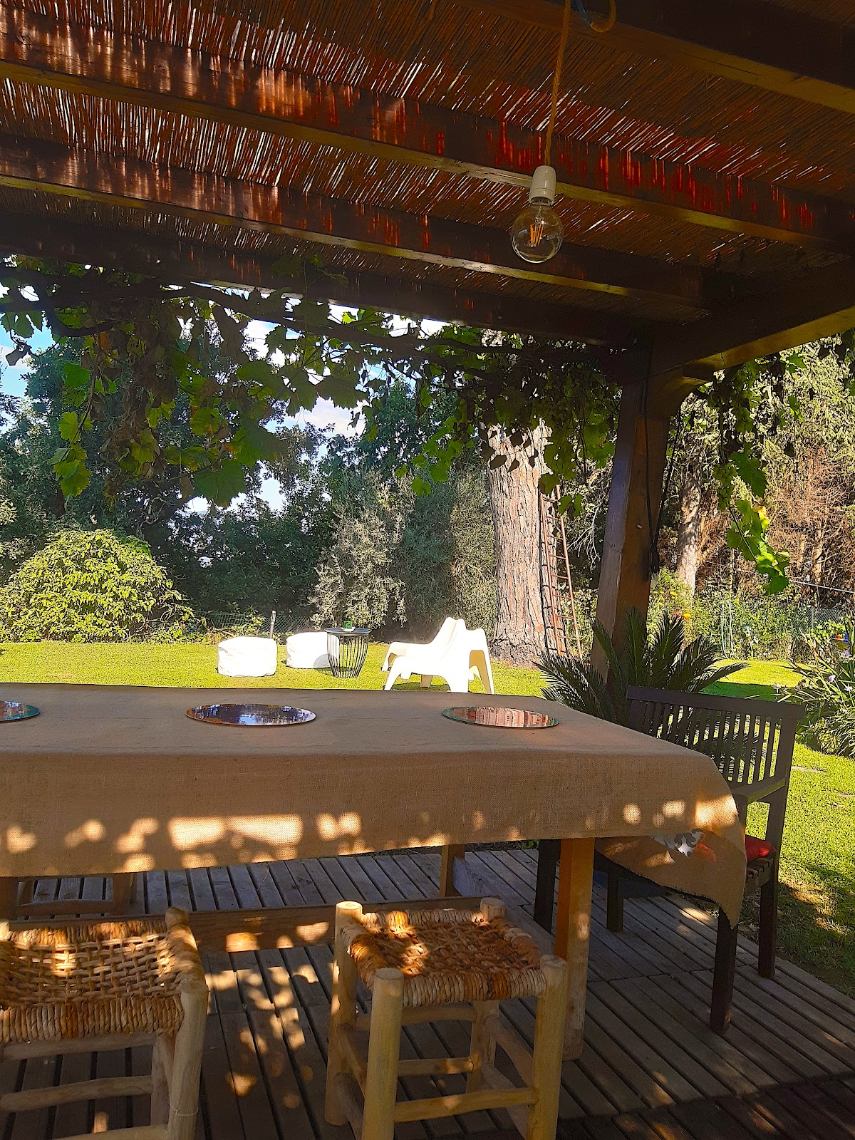 B&B Il Mare nel Bosco
