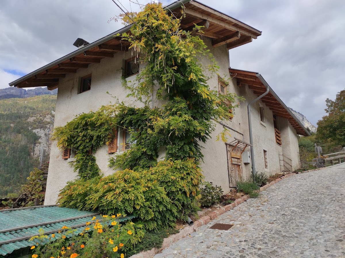 Athabaska Agriturismo Fattoria — Alloggio a Madonna di Campiglio, Trento