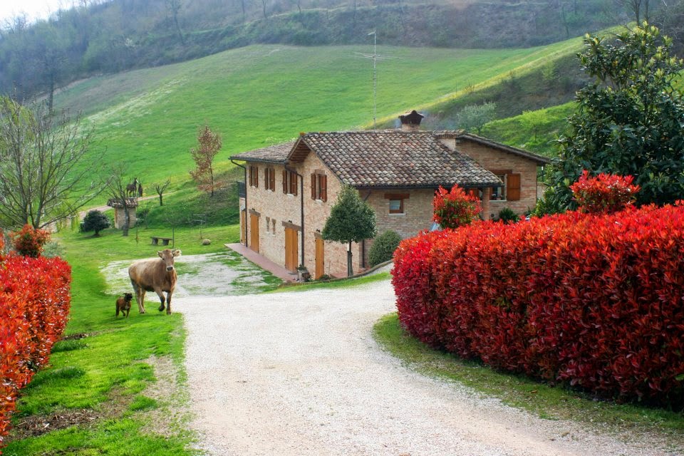 agriturismo varea le coste — Alloggio a Urbino, Pesaro e Urbino