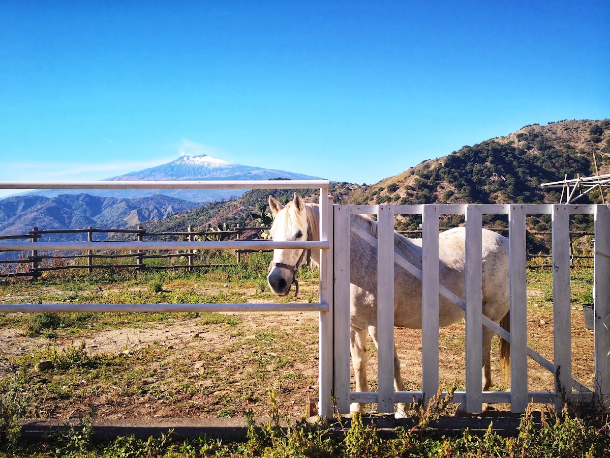 Agriturismo San Cataldo — Alloggio a Scilla, Reggio Calabria