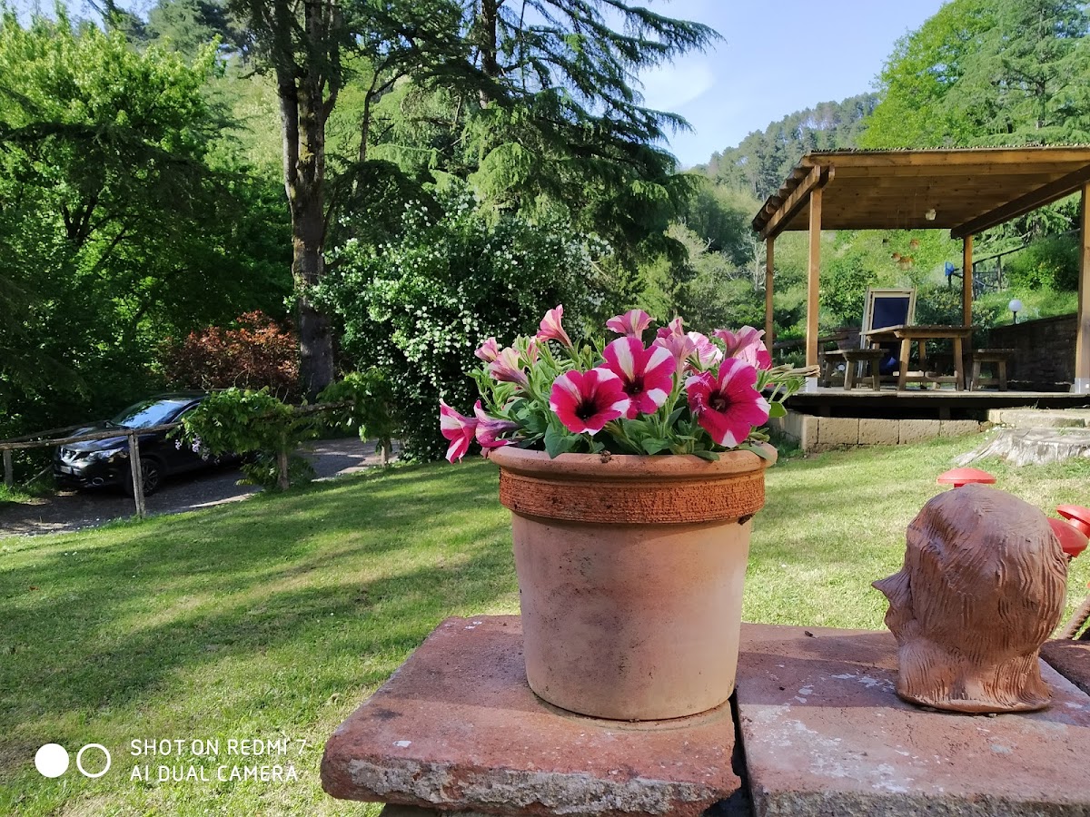Azienda Agrituristica A Casa Del Tosi — Alloggio a Lucca, Lucca