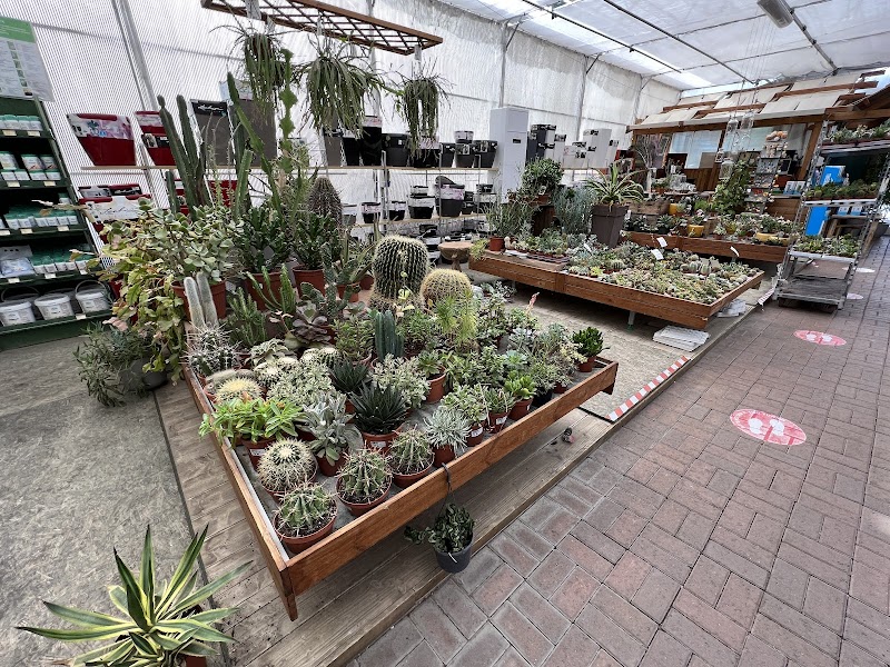 Hortilus Garden Center — Accommodation in Ivrea, Torino