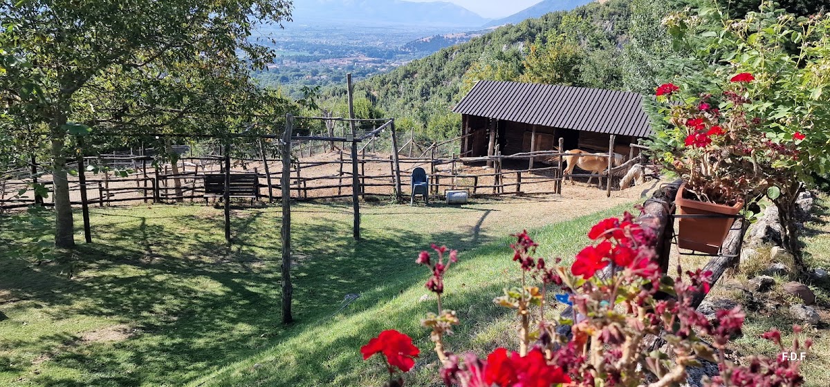 Fattoria Alvaneta — Alloggio a Maratea, Potenza