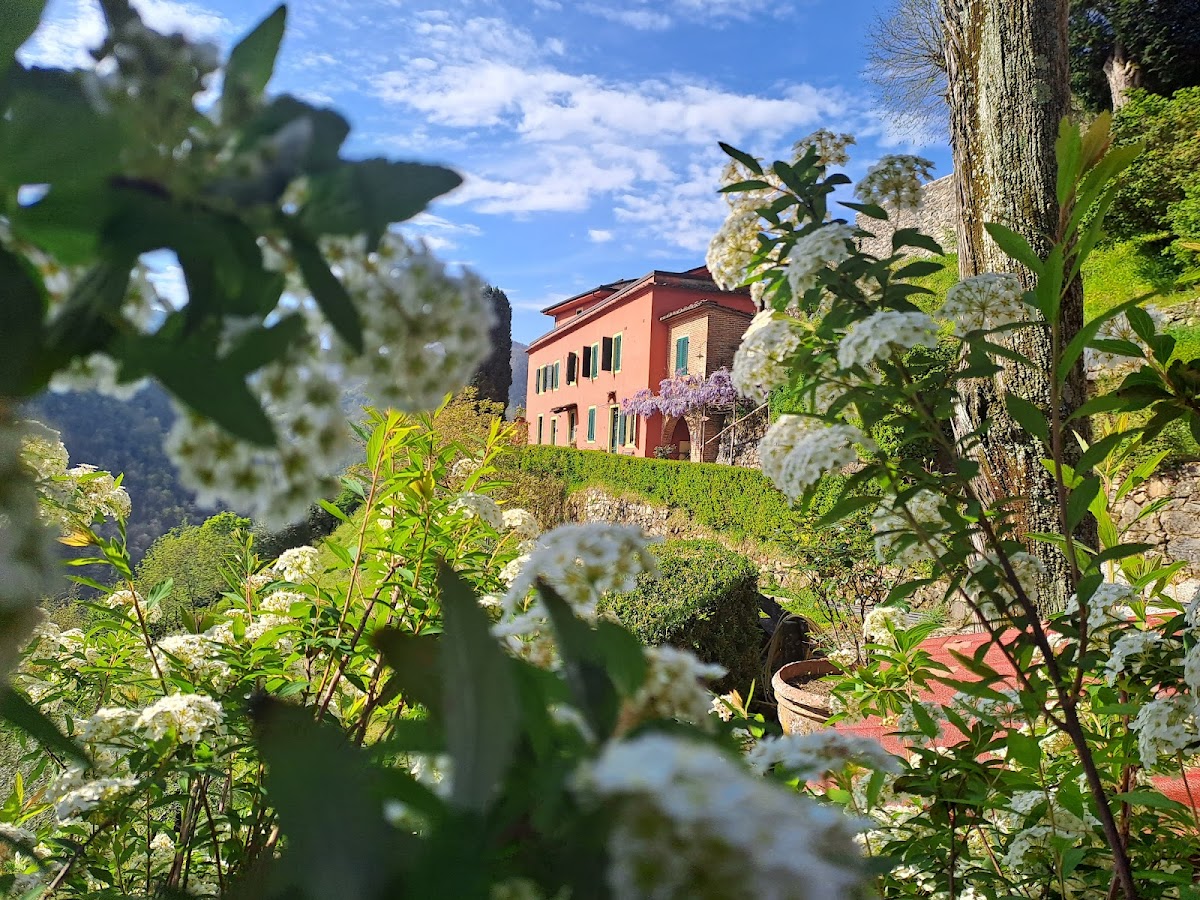 Agriturismo La Torre — Alloggio a Lucca, Lucca