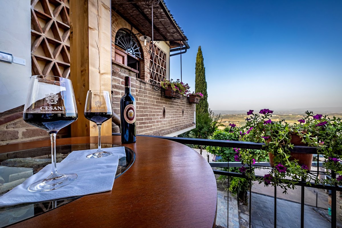 Agriturismo Cesani — Alloggio a San Gimignano, Siena