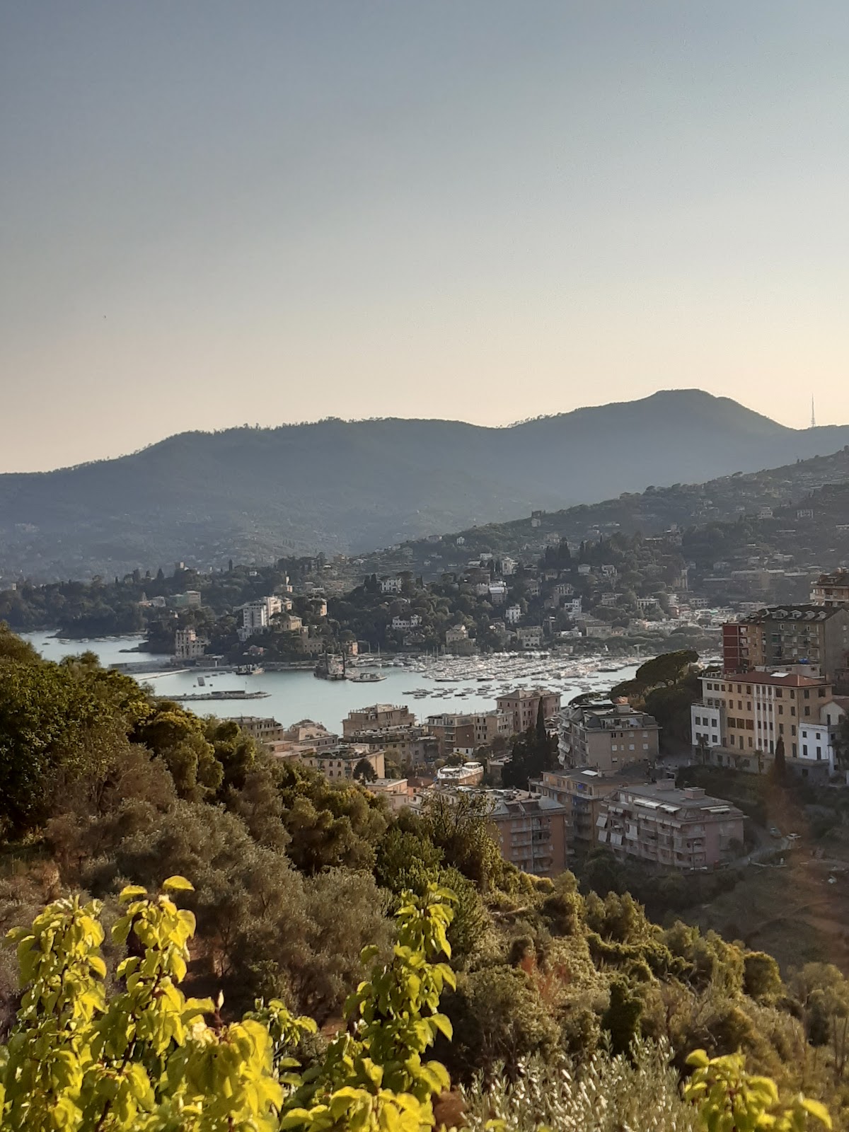 Arca tra gli Ulivi — Alloggio a Camogli, Genova