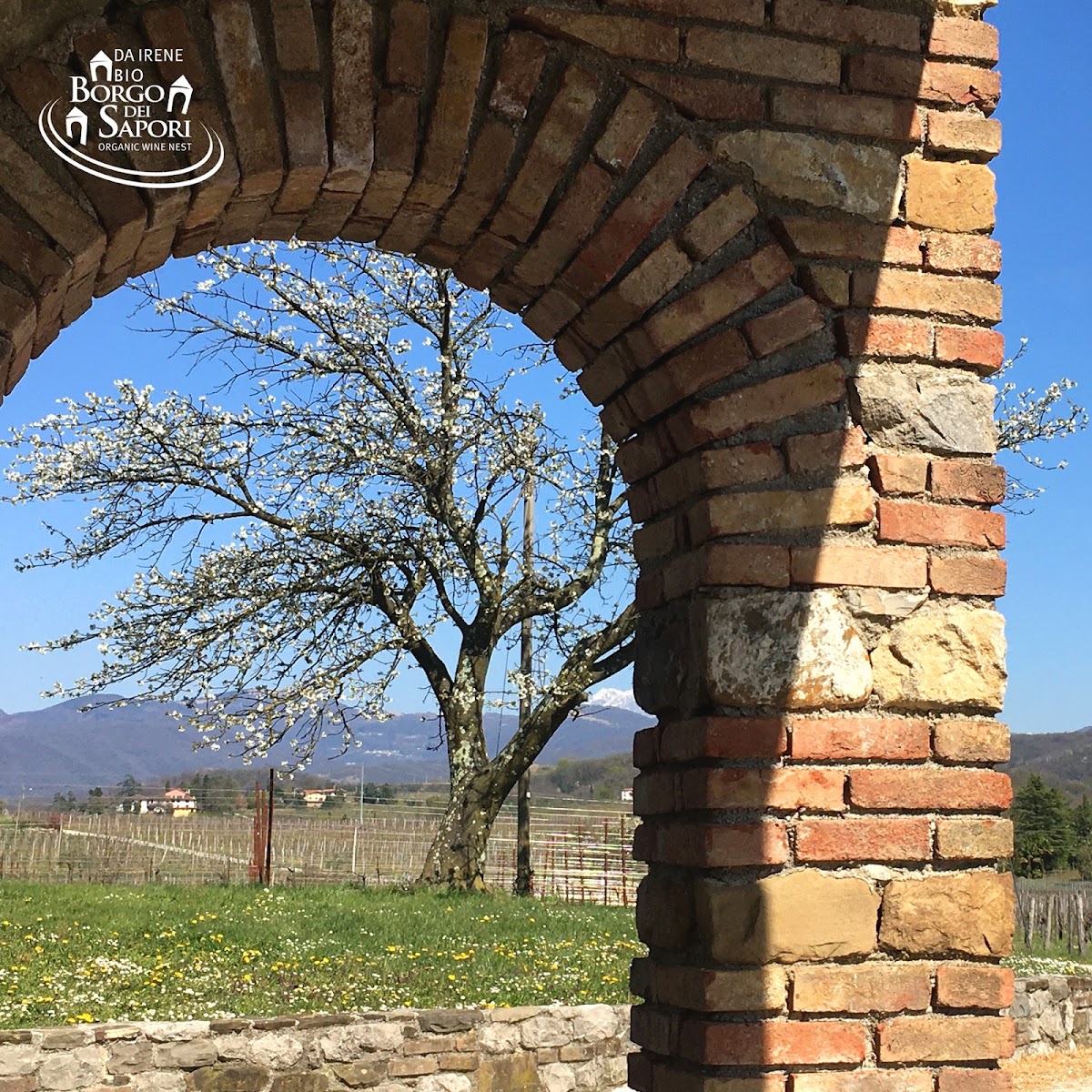 Borgo dei Sapori di Irene Cencig - Agriturismo e Vino Biologico — Alloggio a Cividale del Friuli, Udine