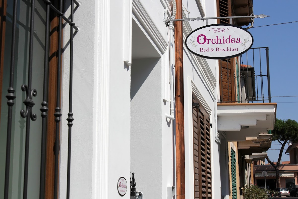 Orchidea Rooms & Suites — Alloggio a Civitanova Marche, Macerata