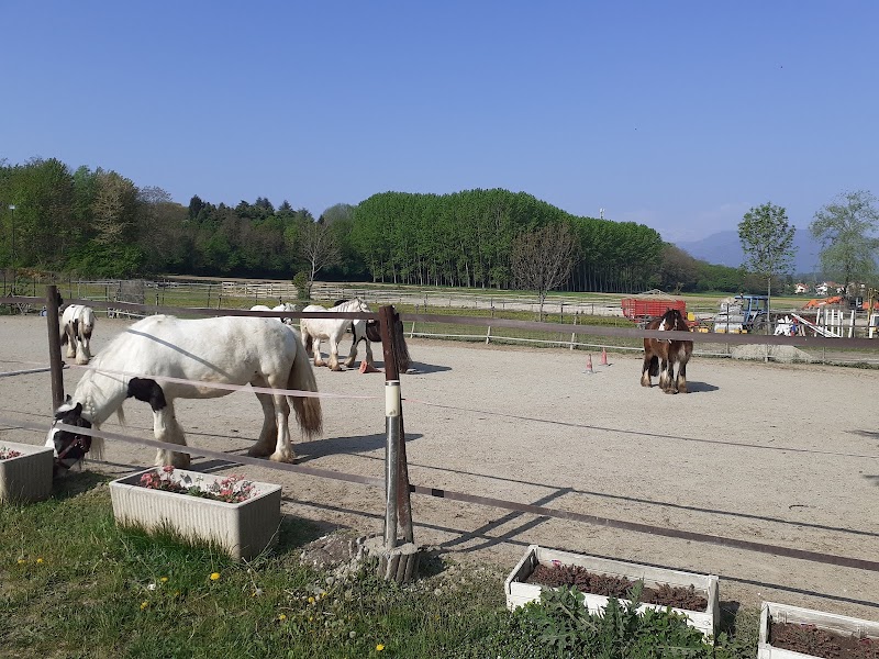Ippocastano Fattoria e Maneggio — Alloggio a Rivoli, Torino