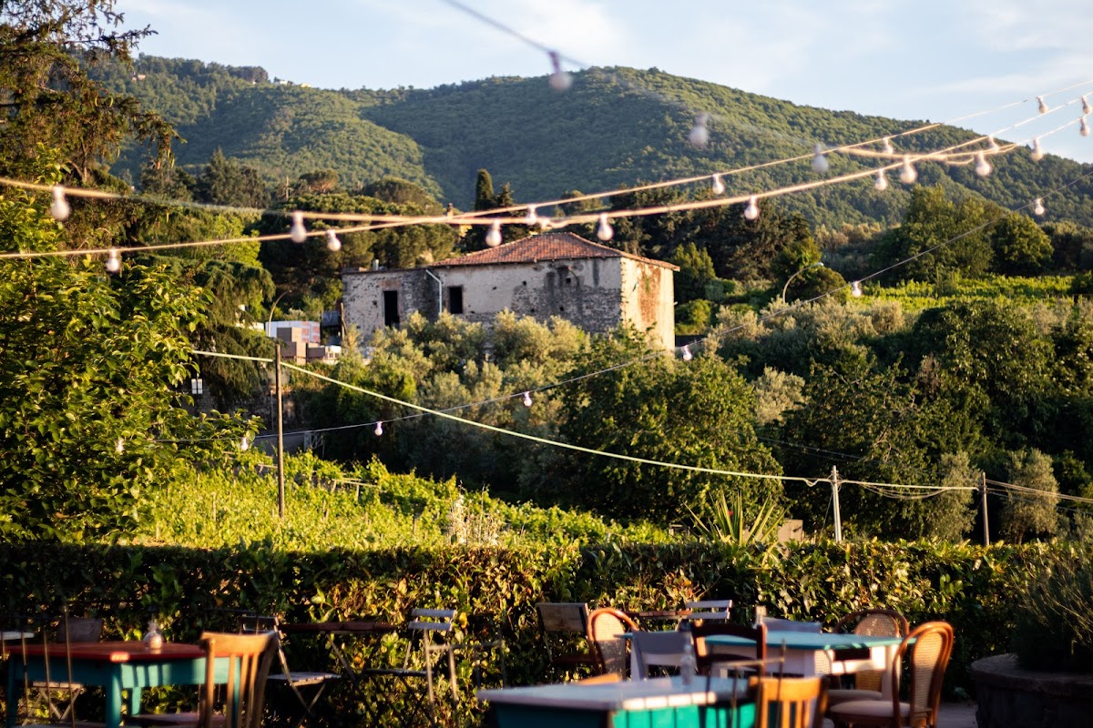Agriturismo Pallotta — Alloggio a Frascati, Roma