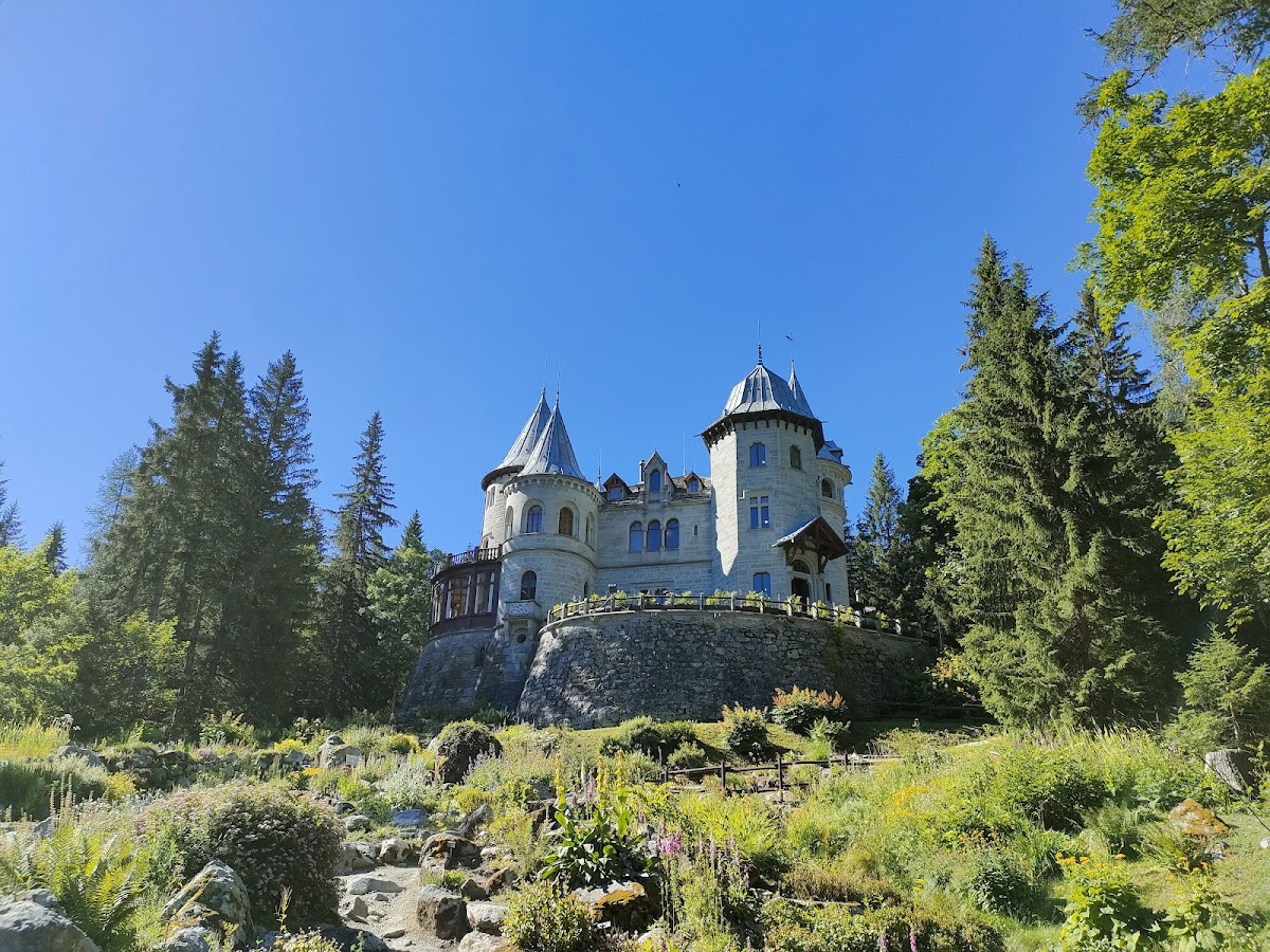 Margherita Camping — Alloggio a Gressoney, Aosta