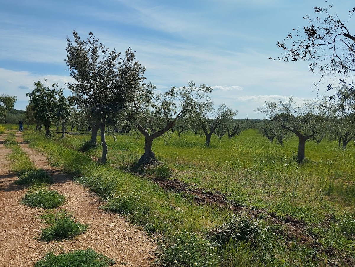 Masseria Minoia - azienda agricola, agriostello e masseria didattica — Alloggio a Polignano a Mare, Bari