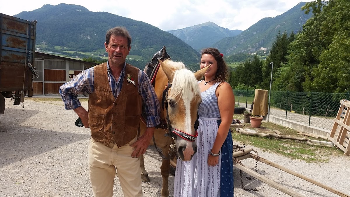 Azienda Agricola e Fattoria Didattica "EN GALAVRA" di Alberti Bortolo — Alloggio a Trento, Trento
