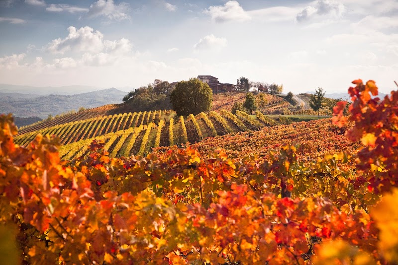 Tenuta Il Cascinone — Hébergement in Acqui Terme, Alessandria