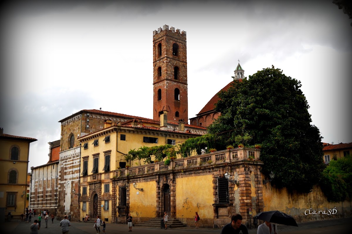 Antica Residenza Del Gallo — Alloggio a Lucca, Lucca