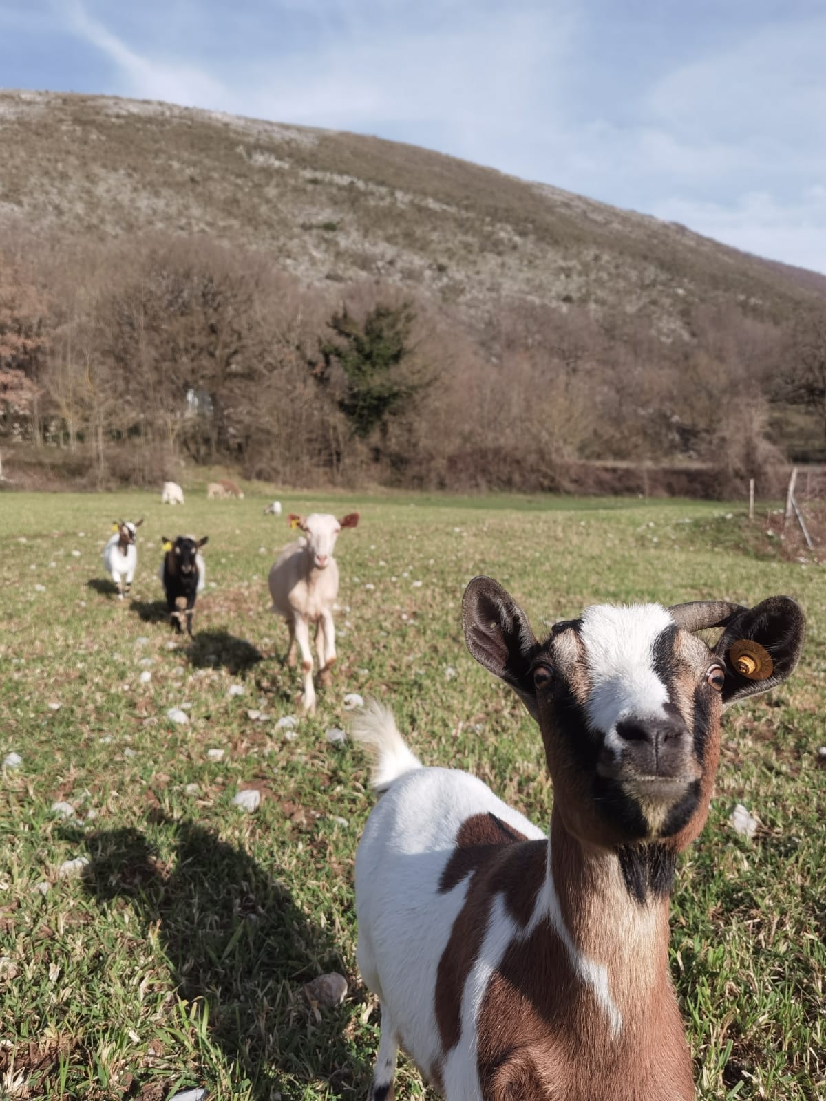 Contadina Lucana | Fattoria Didattica Lauria