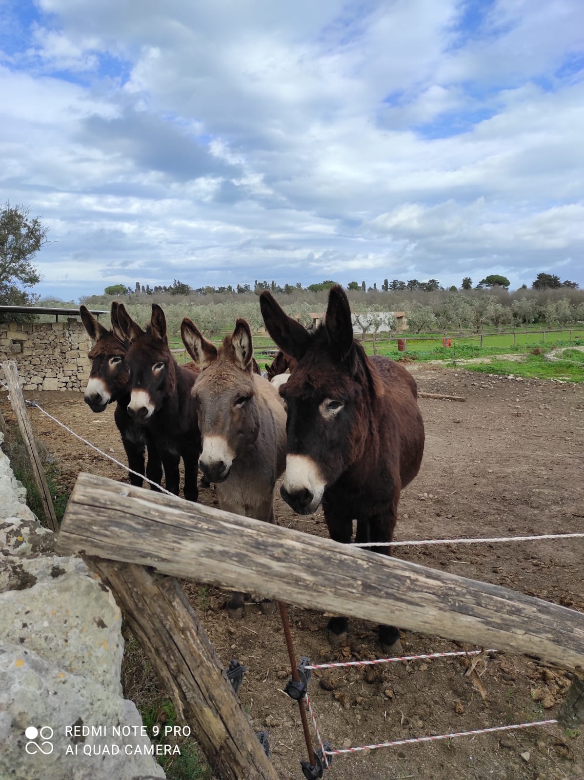 Masseria Fossa — Alloggio a Lecce, Lecce
