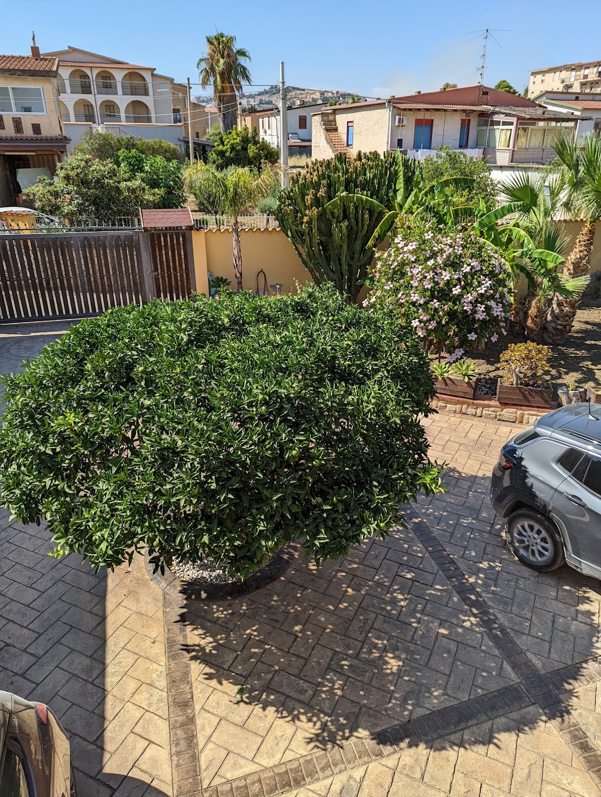 B&B Templi e Arte - Agrigento - — Alloggio a Agrigento, Agrigento