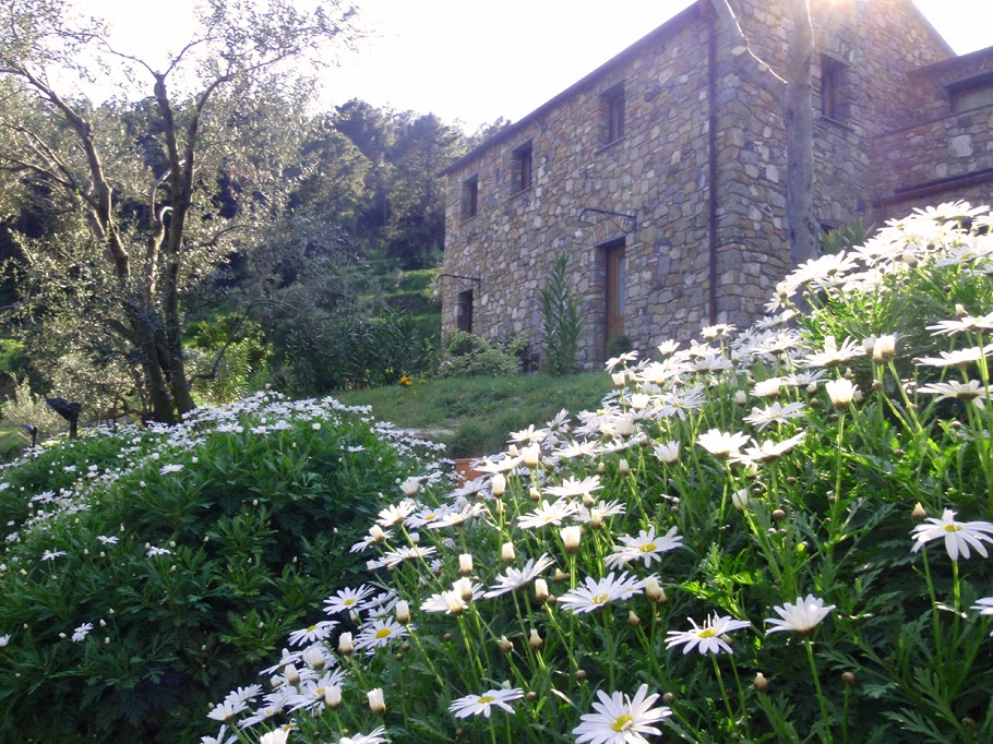 Agriturismo L'Uliveto nel Parco — Alloggio a Cinque Terre, La Spezia