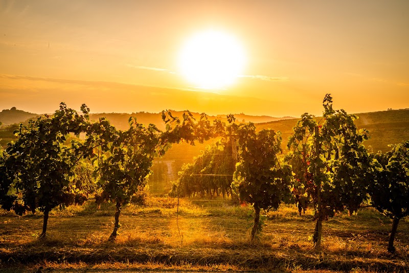 Cantine Marenco — Alloggio a Acqui Terme, Alessandria