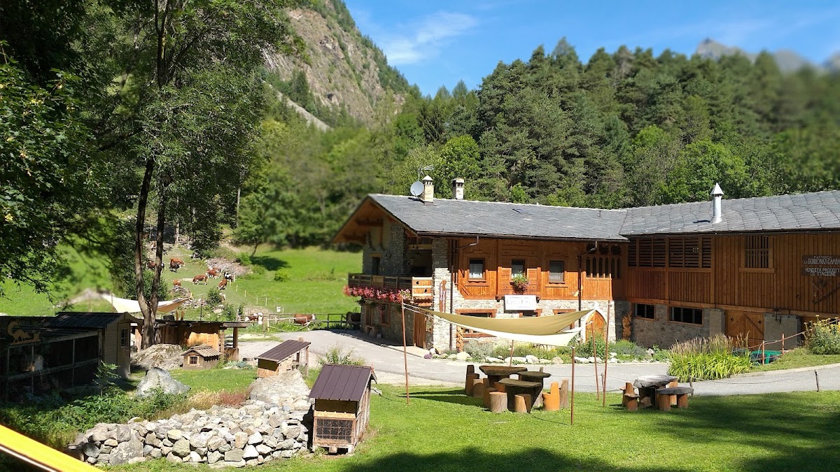 S.A. Dondeynaz & Gamba s.s. — Alloggio a Cervinia, Aosta