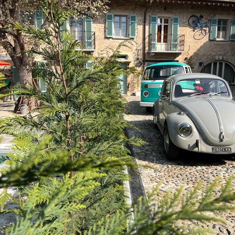 Cico e Mamasita — Alloggio a Chieri, Torino