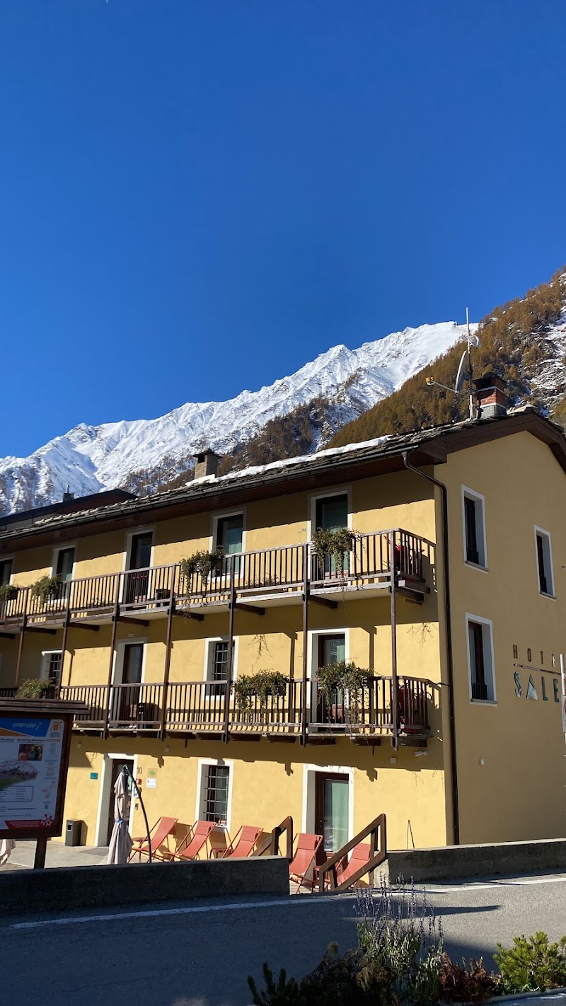 Hotel Salei