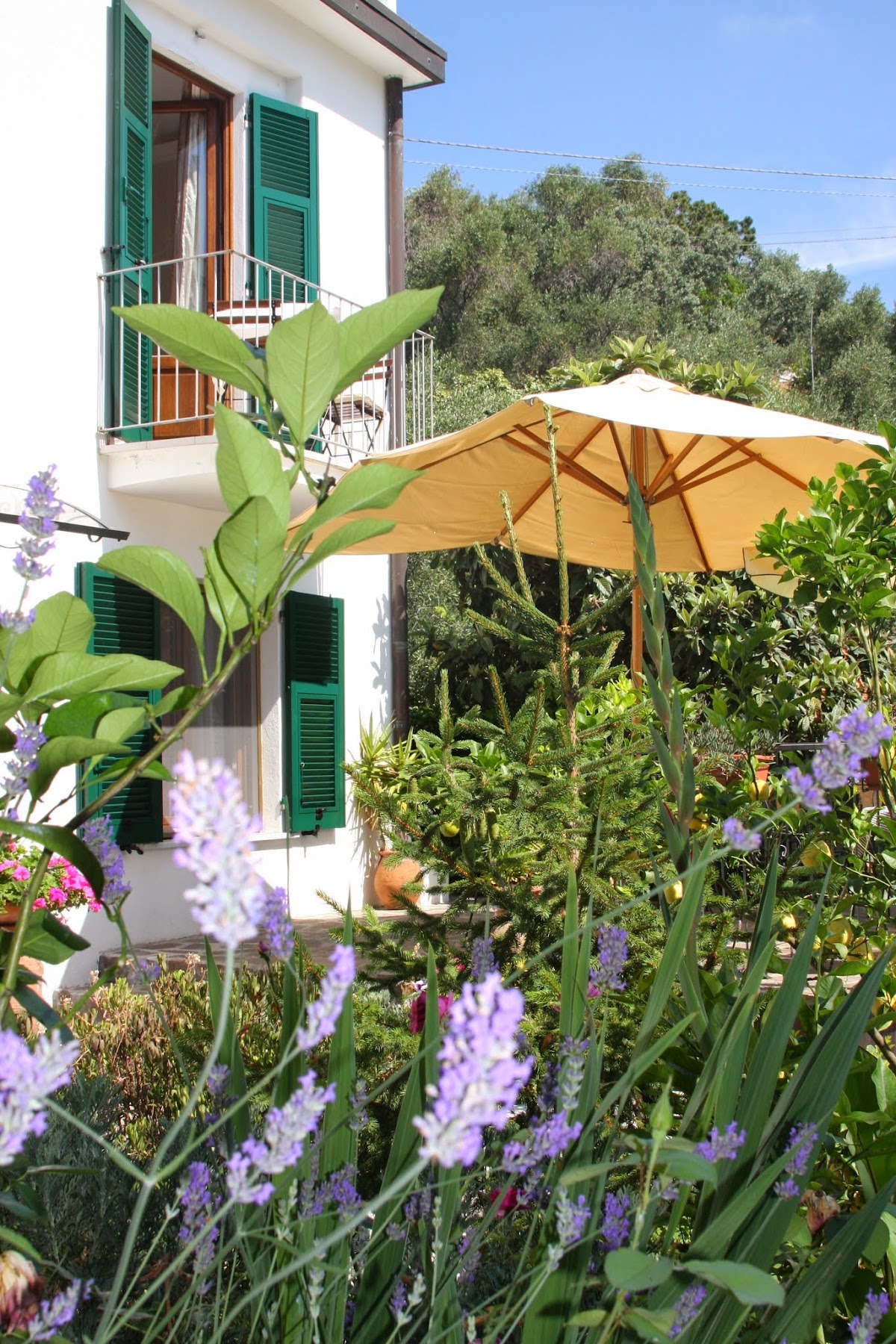 Camere Le Giare Bed & Breakfast — Alloggio a Cinque Terre, La Spezia