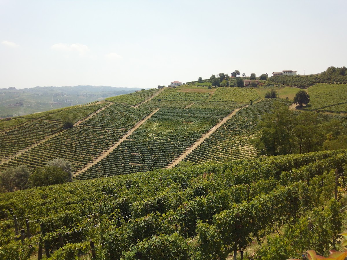 Azienda Agricola Gagliasso - Agriturismo Il Torriglione — Alloggio a Cherasco, Cuneo