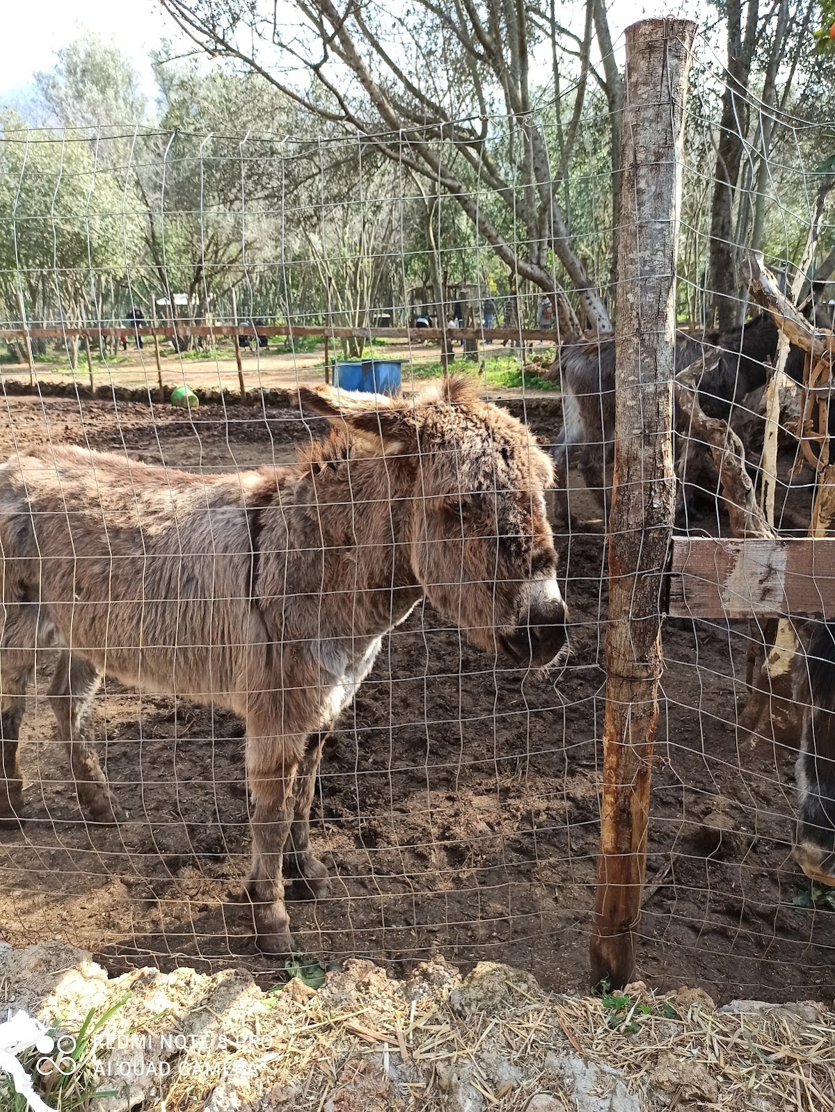 Il Bosco Di Tommy — Alloggio a Palermo, Palermo