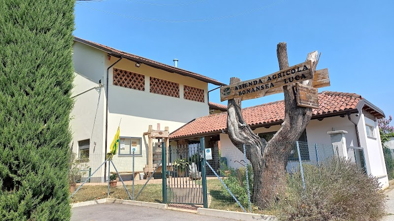Azienda Agricola Il Palaset