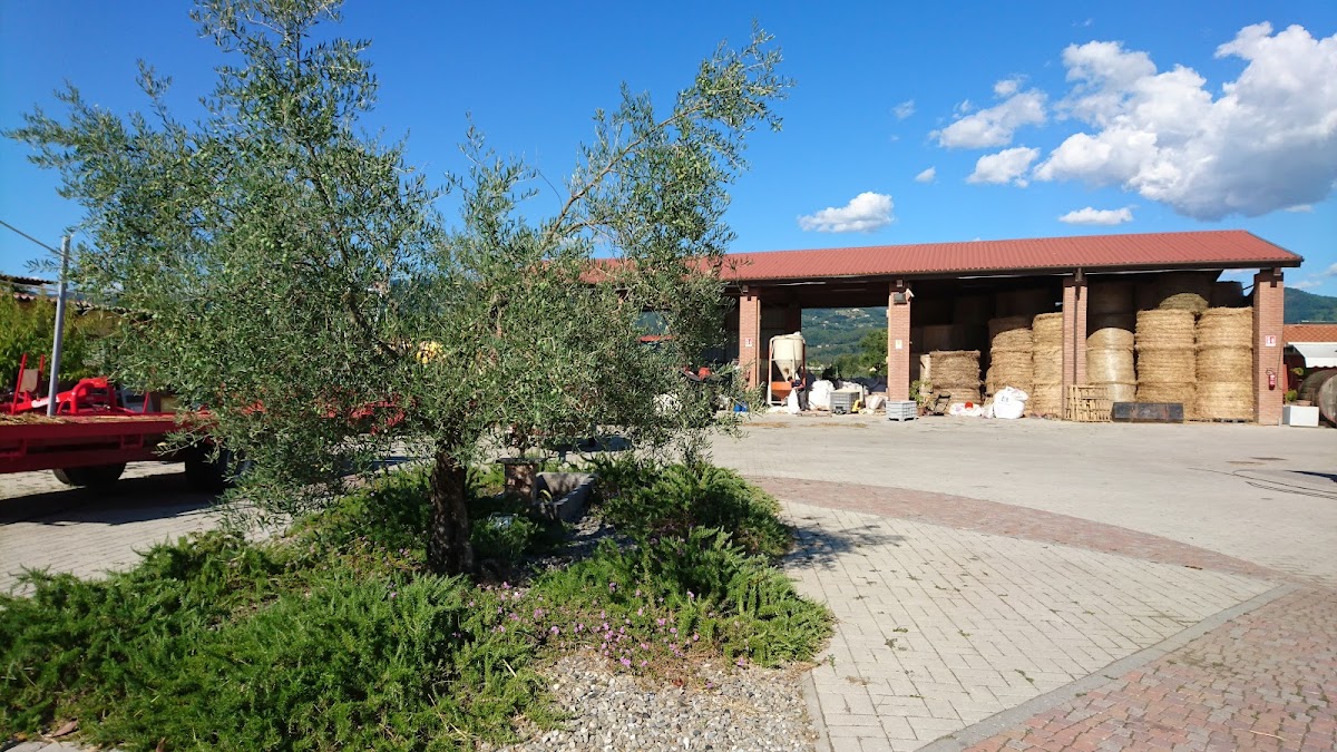Agriturismo Azienda Agricola Bini - Di Bini Simone