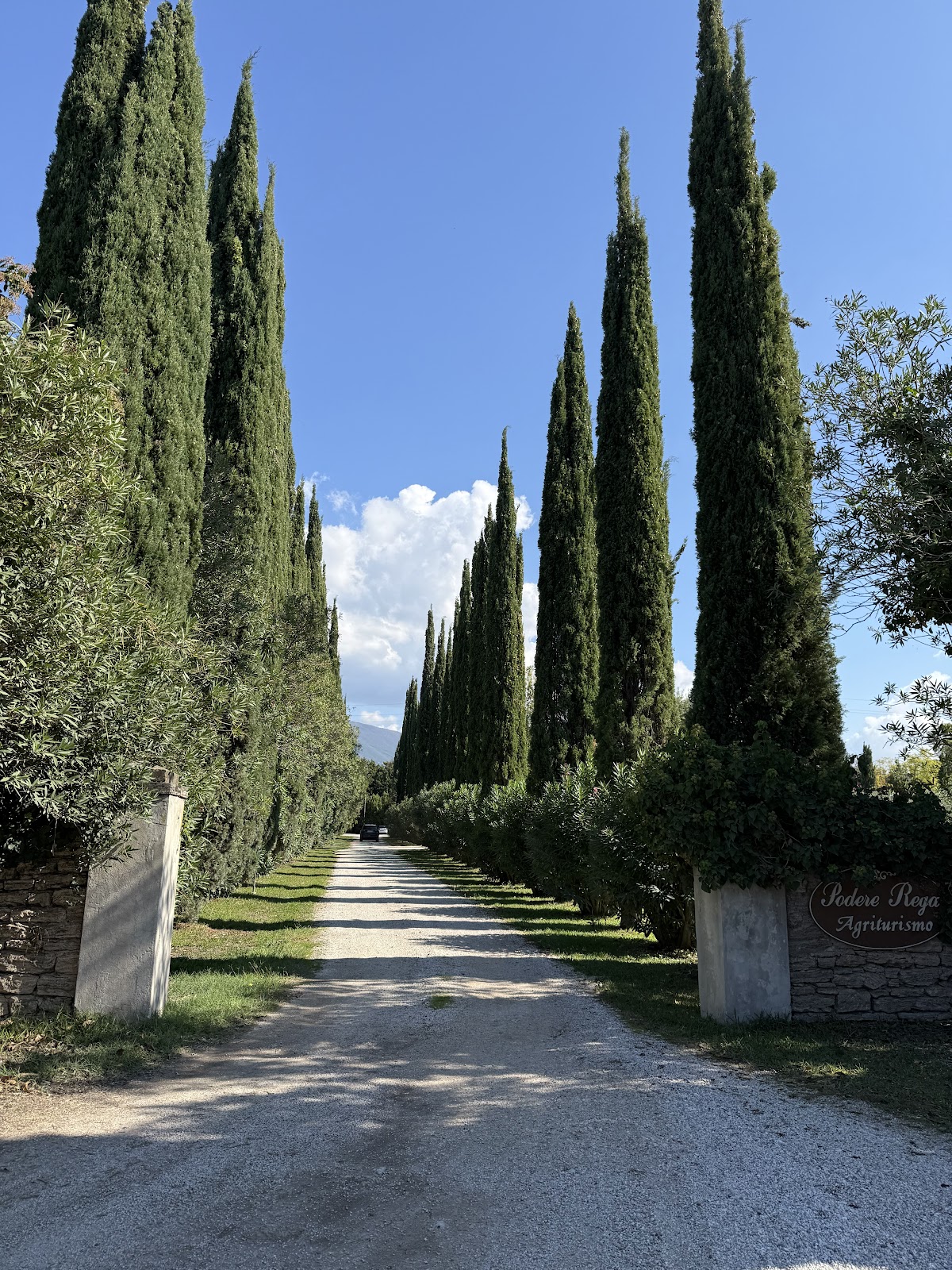 Agriturismo Podere Rega — Alloggio a Paestum, Salerno