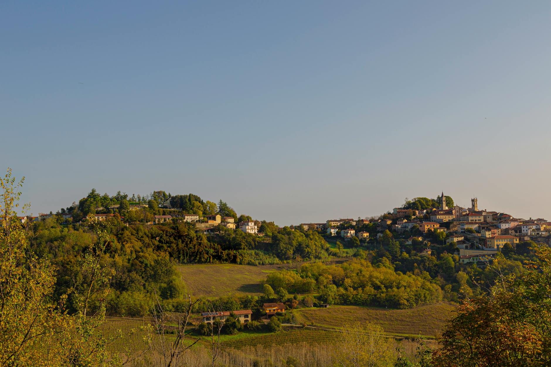 Azienda Agricola di Vaghi Daniele