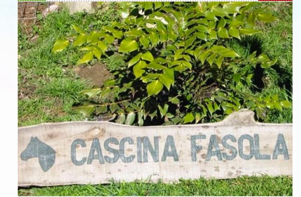 Cascina Fasola — Alloggio a Varallo, Vercelli
