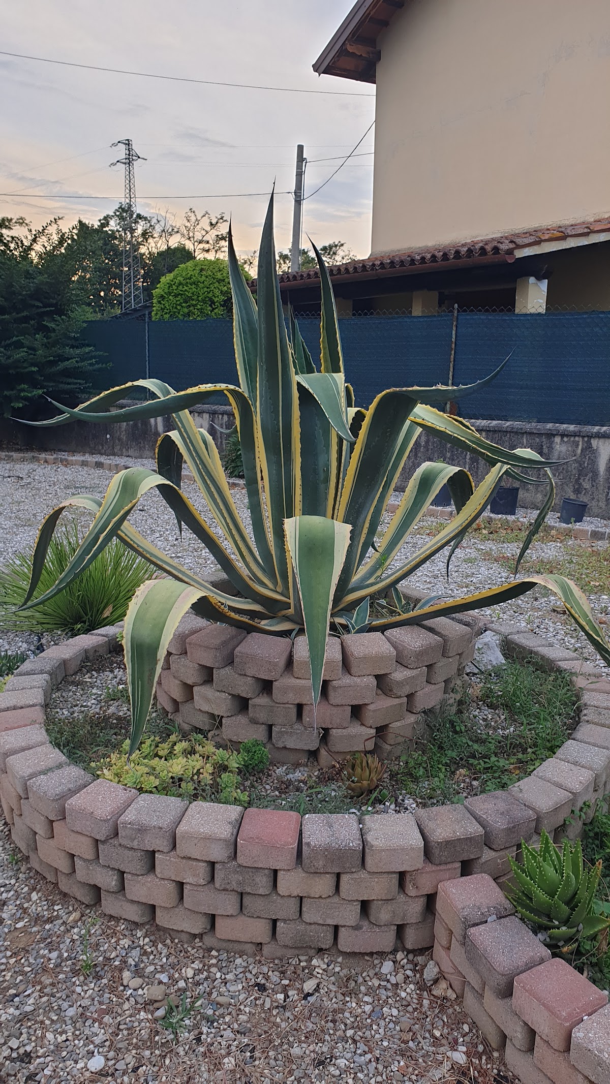 b&b alle agavi — Alloggio a Palmanova, Udine